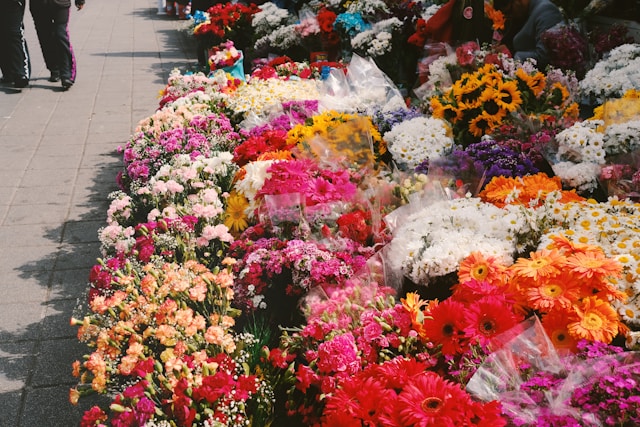 bloemen betekenis